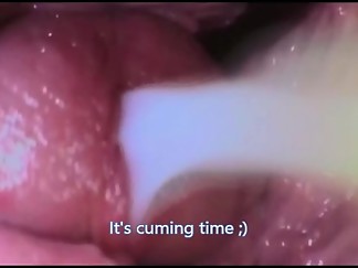 Journey to the Inside of the Pussy